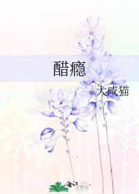 醋瘾