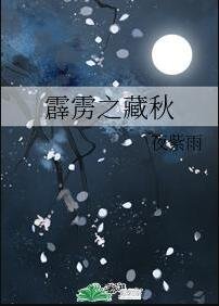 (霹雳同人)霹雳之藏秋